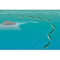 DEPS NEW SLIDE SWIMMER 115