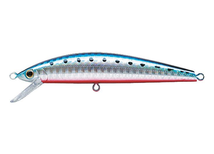 JACKSON PINTAIL TUNE 27 2021