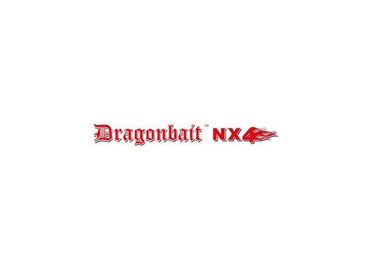 SMITH DRAGONBAIT NX4 STRAIGHT VERTICAL 2 2021