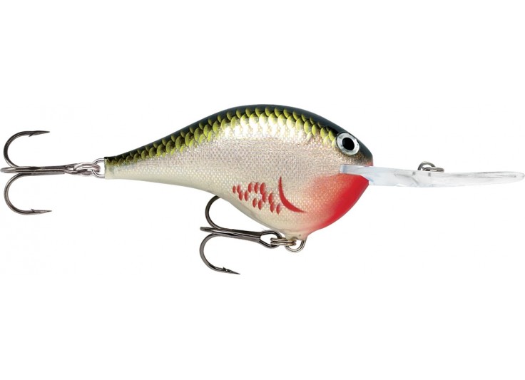 RAPALA DT (DIVES-TO) SERIES 2021