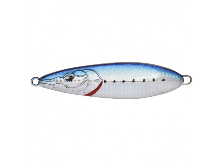XORUS FLAPSTURIE 2022