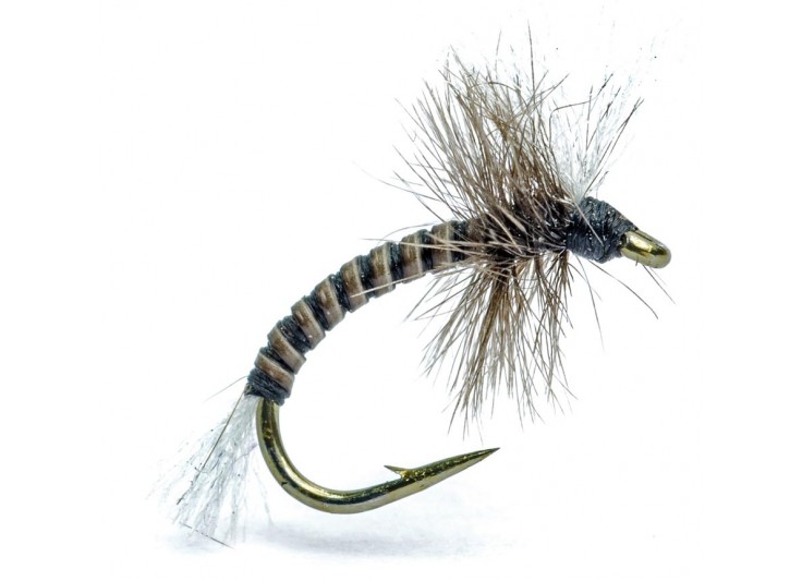 MOUCHE AB FLY MC 12 NA 2021