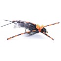 MOUCHE RAINY'S IN THE ZONE STONE FLY