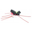 MOUCHE RAINY'S SPIDER