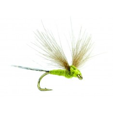 MOUCHE AB FLY SUB OLC