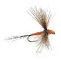MOUCHE AB FLY SUB OR