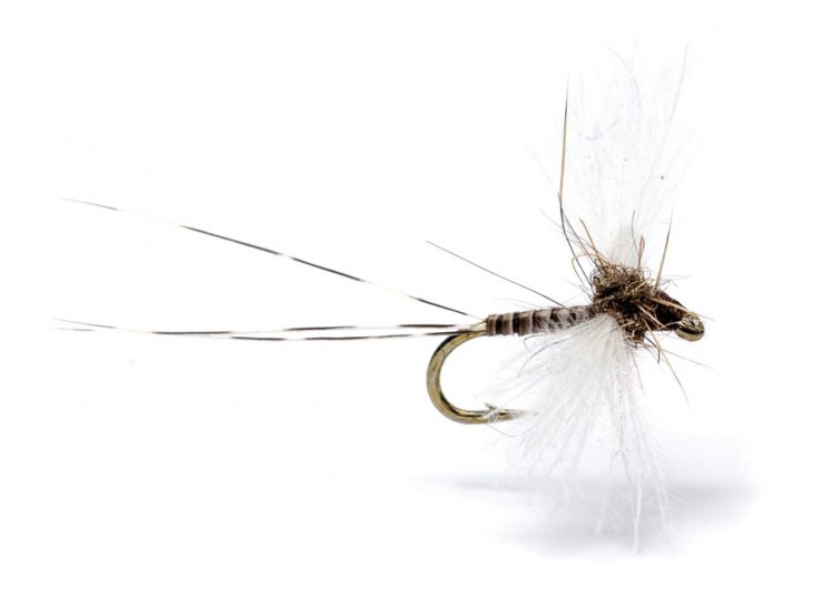 MOUCHE AB FLY SPC CAENIS 2021