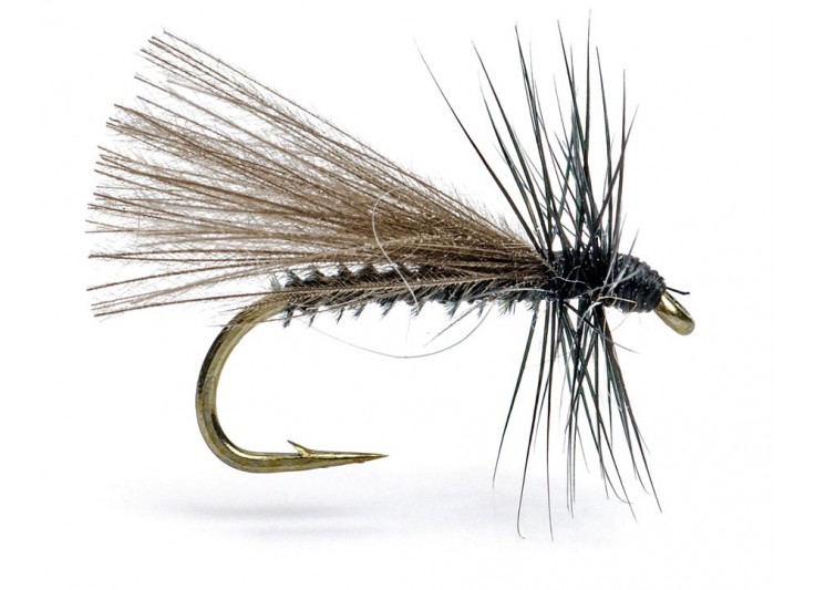 MOUCHE AB FLY MC 8 NO 2021