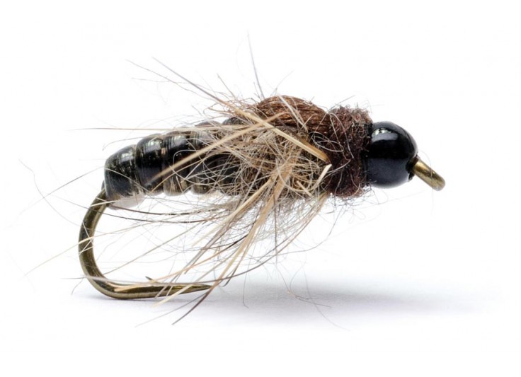 MOUCHE AB FLY CN TG BM 2023