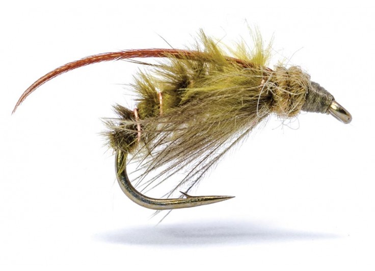 MOUCHE AB FLY NS EME OL 2023