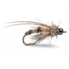 MOUCHE AB FLY CN TG SE MARA T