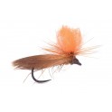 MOUCHE AB FLY BS PARA M OR