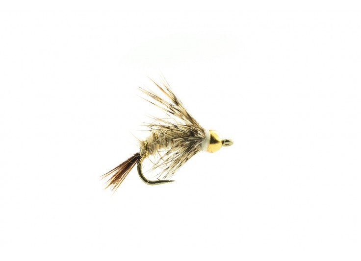 MOUCHE DEVAUX NOYEE GH 01 2023