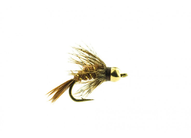 MOUCHE DEVAUX NOYEE GH 05 2023