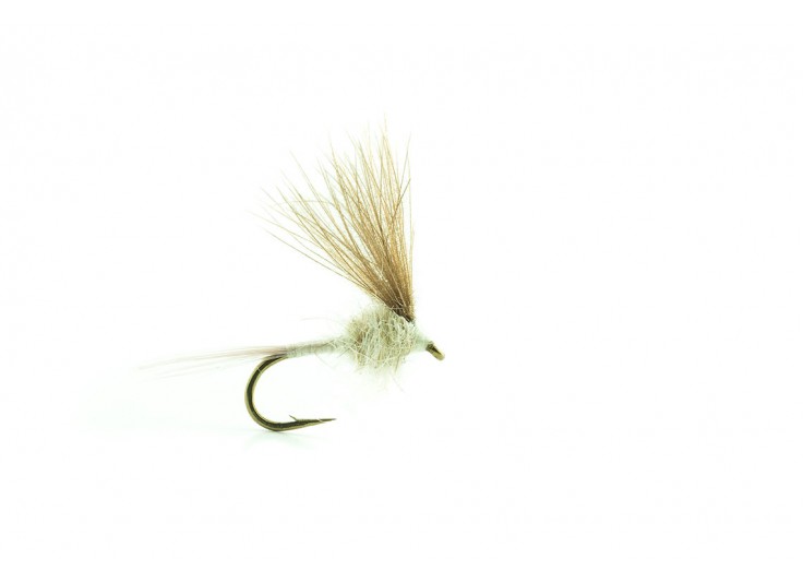 MOUCHE DEVAUX EMERGENTE ATE 03 2023