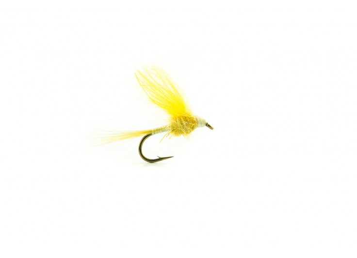 MOUCHE DEVAUX EMERGENTE ATE 04 2023
