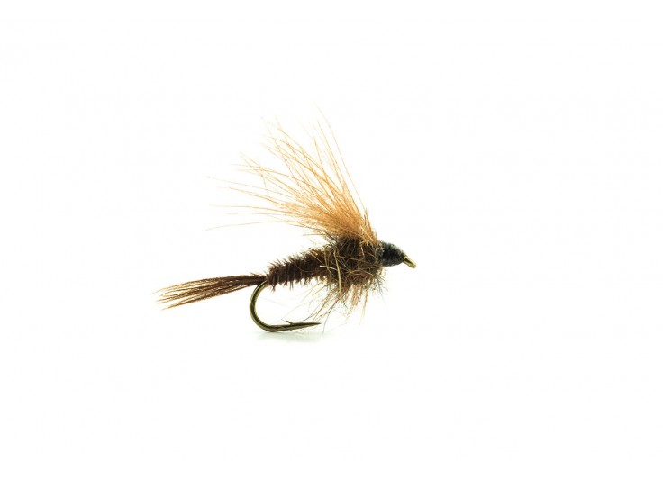 MOUCHE DEVAUX EMERGENTE ATE 07 2023