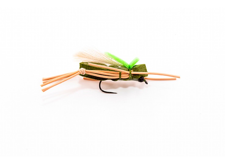 MOUCHE DEVAUX TERRESTRE SAUT 05 2023