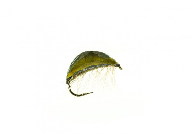 MOUCHE DEVAUX GAMMARE GM 01 2023