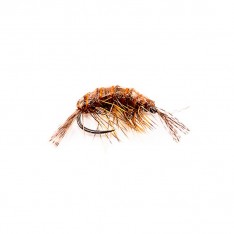 MOUCHE DEVAUX GAMMARE JBGL 11