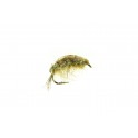 MOUCHE DEVAUX GAMMARE JBG 01