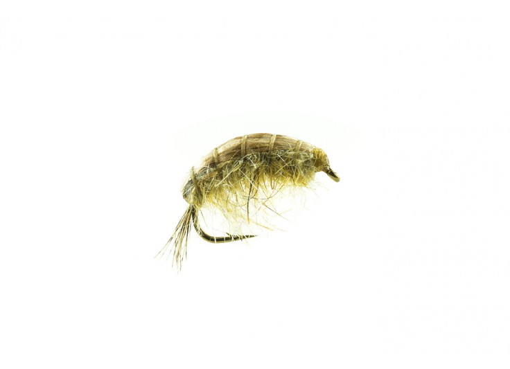 MOUCHE DEVAUX GAMMARE JBG 01 2023