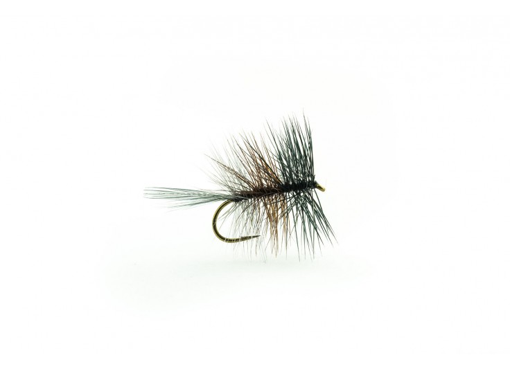 MOUCHE DEVAUX PALMER TT 04 2023