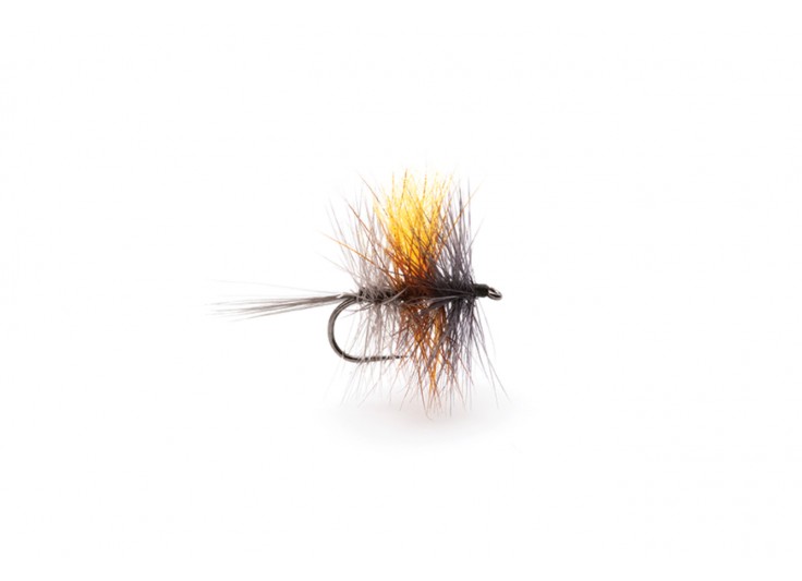 MOUCHE DEVAUX PALMER TT 05 2023