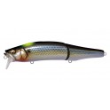 MEGABASS GORHAM 147 F SW