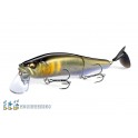 MEGABASS GORHAM 147 F SW