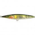 XORUS ASTURIE 110