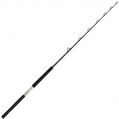 CANNE DAIWA SEALINE X TROLLING 2024