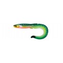 FISHUP RAM GRUB 7