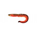 FISHUP RAM GRUB 7