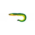 FISHUP RAM GRUB 7