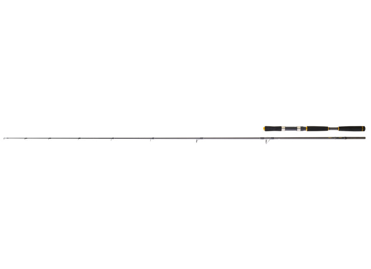 CANNE LANCER DAIWA LEGALIS SEABASS 2025
