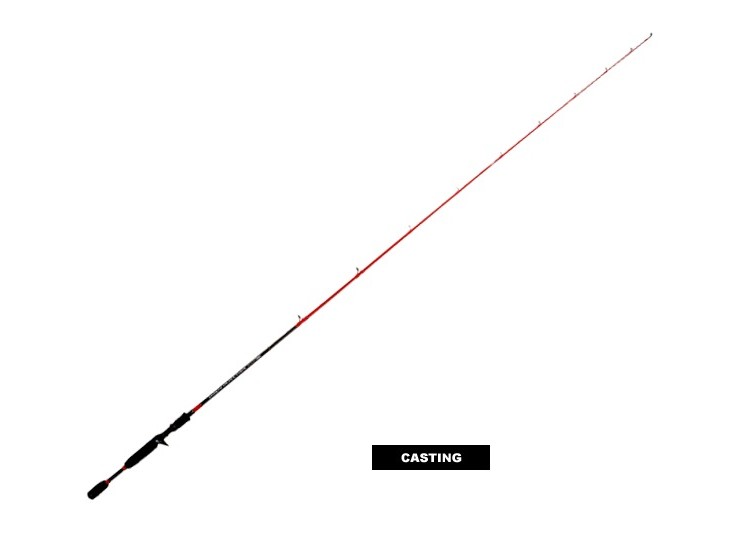 TENRYU INJECTION BC 67 MH 2021
