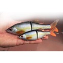 SAVAGEAR 3D ROACH SHINE GLITER 135 