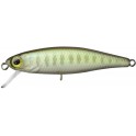 ILLEX TINY FRY 50 SP