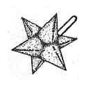 PLOMB ETOILE