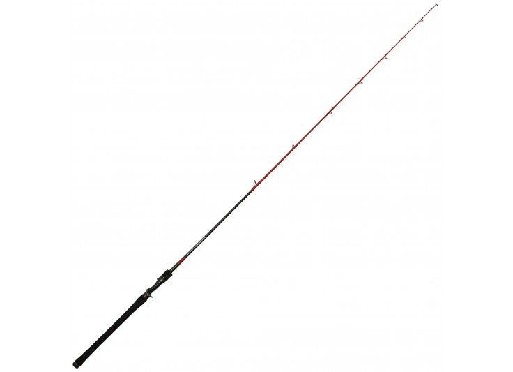 CANNE TENRYU INJECTION BC 62 XH 2017