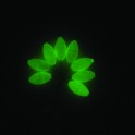 PERLES FLOTTANTES OVALES FLUO 