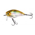 YO-ZURI 3DR WAKE BAIT (50 & 70 F)