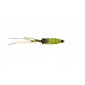 FIIISH CANDY SHRIMP