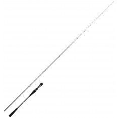 CANNE DAIWA SALTIST TENYA 712 HB 