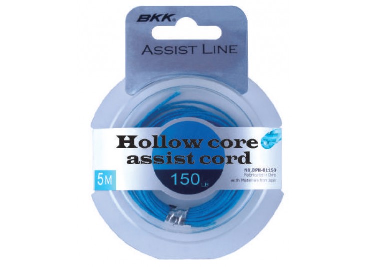 ASSIST LINE BKK HOLLOW CORE 2019