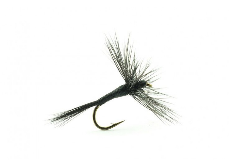 MOUCHE SECHE DEVAUX S27 2021