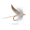 MORNANSLTC16 (ABFly) 