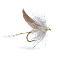 MORNANSLTC16 (ABFly) 