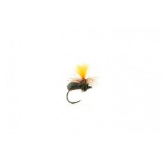 MOUCHE SECHE DEVAUX TERRESTRE JBT 05